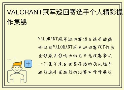 VALORANT冠军巡回赛选手个人精彩操作集锦