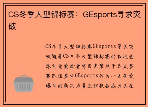 CS冬季大型锦标赛：GEsports寻求突破